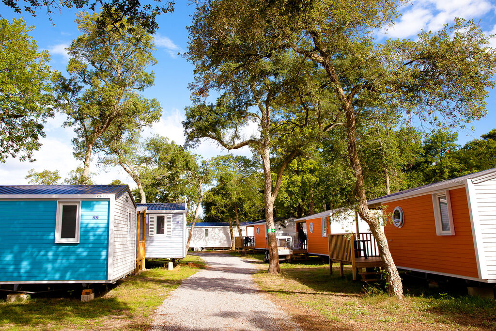 Boudigau, Camping Aquitani - 17