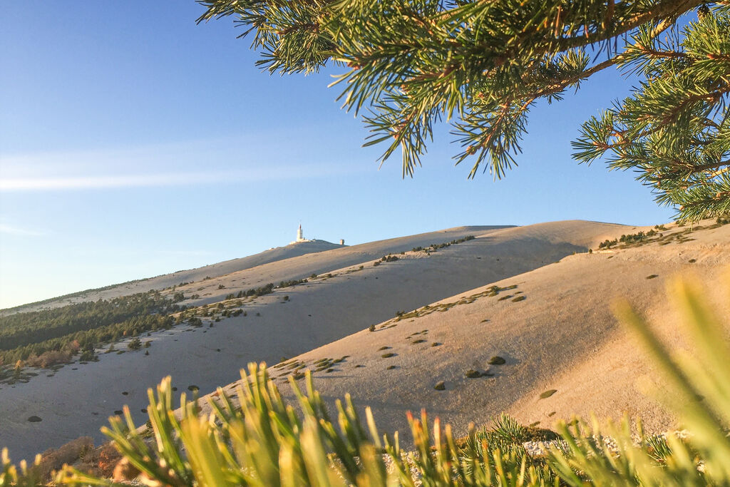 Naturiste Belezy, Camping Provence-Alpen-Cte d'Azur - 8