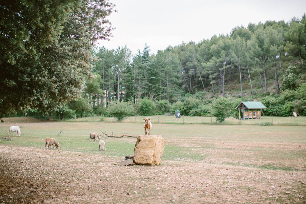 Naturiste Belezy, Camping Provence-Alpen-Cte d'Azur - 13