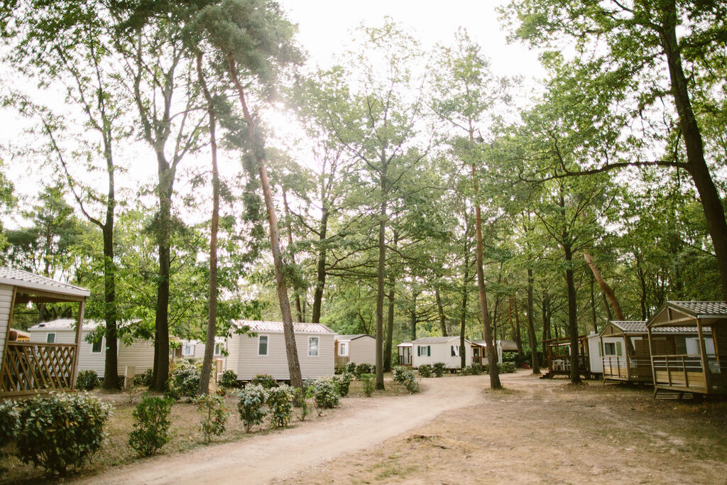 Naturiste Heliomonde, Camping Ile de France - 18