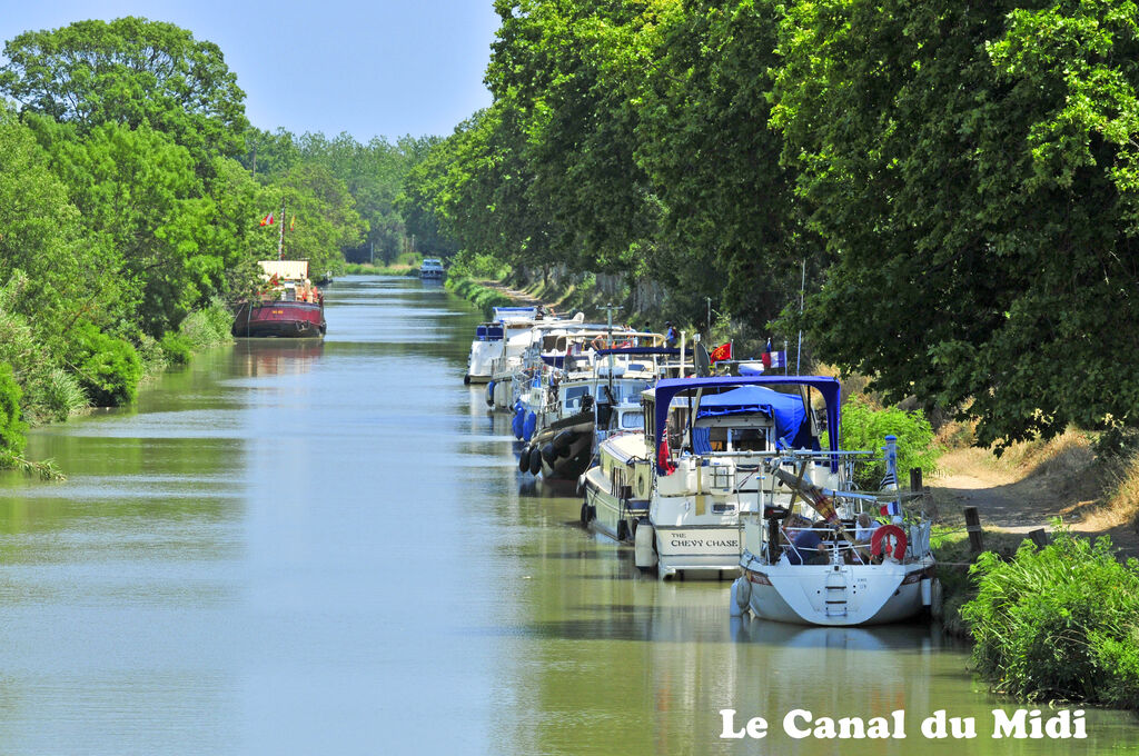 La Nina, Camping Languedoc Roussillon - 5