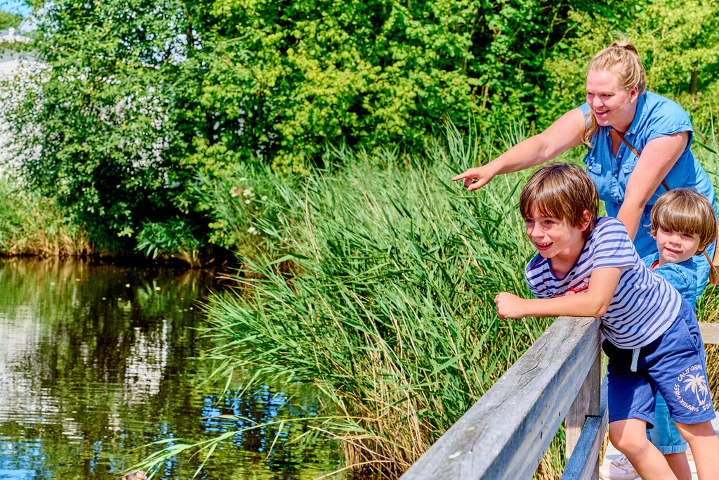 De Waldsang, Vakantiepark Friesland - 17